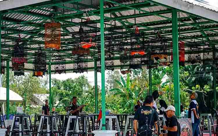 1.200 Peserta Ramaikan Lomba Burung Berkicau Bupati Cup I di Basarang Kapuas