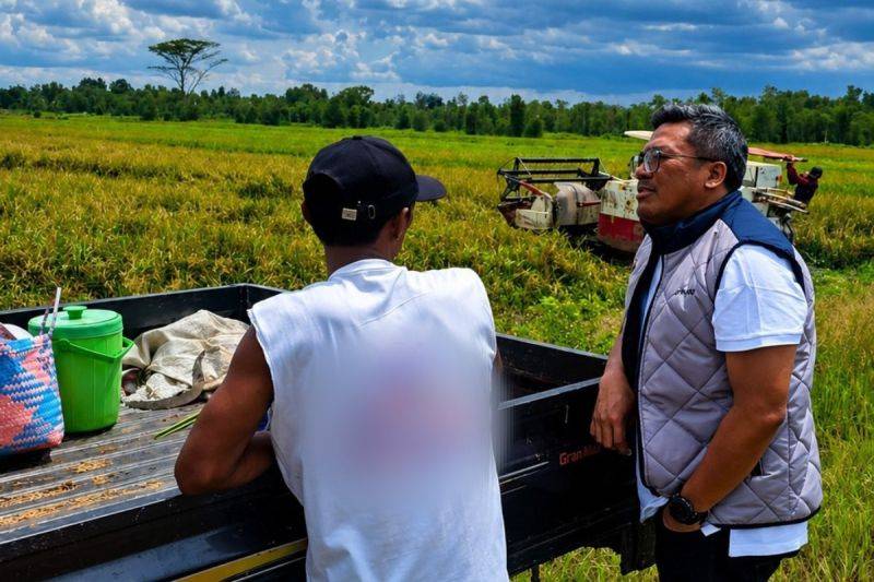 Bulog Kalteng Serap 14.130 Ton Gabah Petani, Stok Beras Dipastikan Aman hingga Akhir Tahun