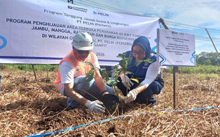Peringati Hari Lingkungan Hidup, 60 Bibit Pohon Ditanam di Kawasan Pelabuhan Bagendang