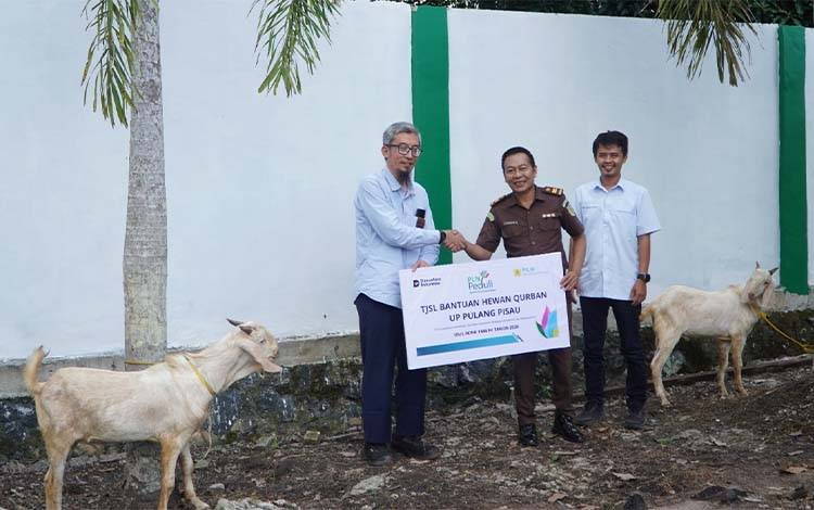 PLTU Pulang Pisau Salurkan Bantuan TJSL Dua Ekor Kambing Kurban untuk Kejari Pulang Pisau