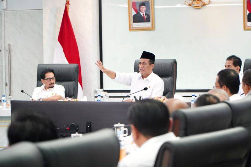 Bapanas Kawal Harga Telur Ayam Ras untuk Lindungi Peternak