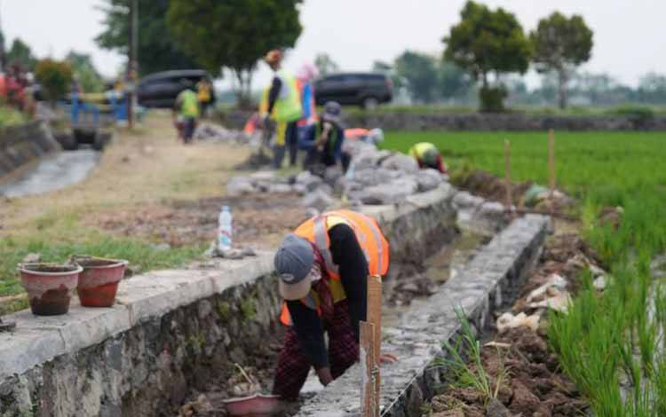 Program Percepatan Peningkatan Tata Guna Air Irigasi (P3TGAI) sebagai bagian dari program Infrastruktur Berbasis Masyarakat (IBM). ANTARA/HO-Kementerian PU