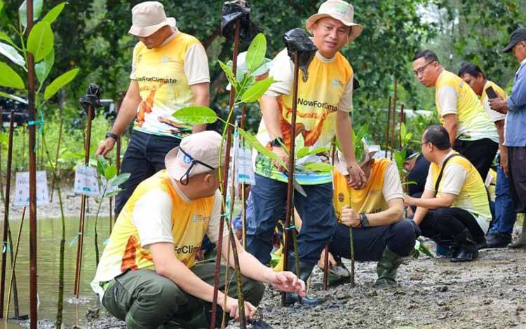 IKN Perkuat Konsep Kota Hutan Dunia Lewat Rehabilitasi Tambang dan Penanaman Mangrove