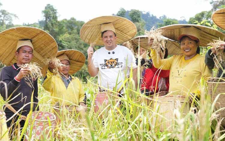 Bupati Lamandau Dorong Pelestarian Padi Lokal Dayak Tomun