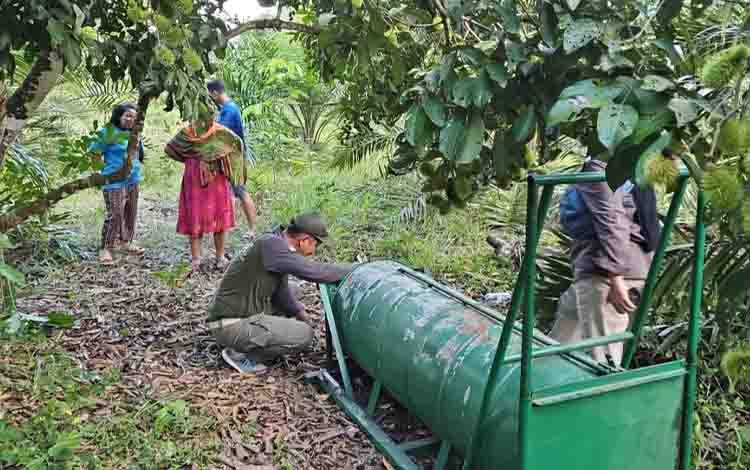 BKSDA Pasang Perangkap Beruang Madu Usai Muncul di Permukiman Desa Sungai Paring Kotim