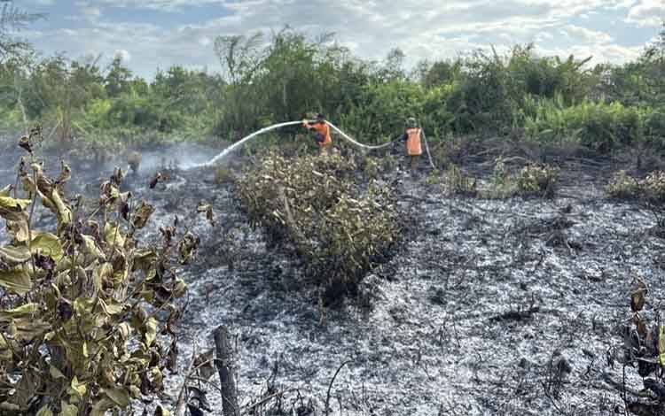 Karhutla Mulai Mengancam Kotim, BPBD Terima Dua Laporan Kebakaran Lahan dalam Sehari