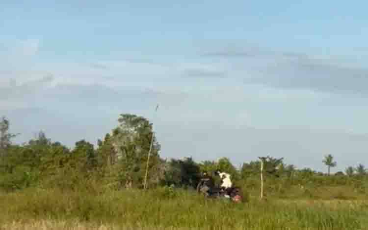 Jalan Antang  Sei Baras Kapuas Disebut Rawan Balap Liar dan Nongkrong pada Malam Hari