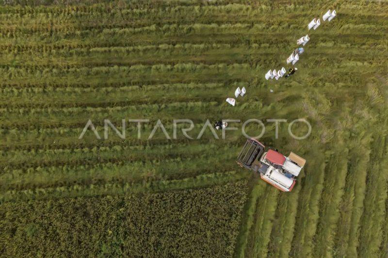 Delapan Anggota KTNA Kotim Wakili Kalteng di Penas Petani Nelayan 2026