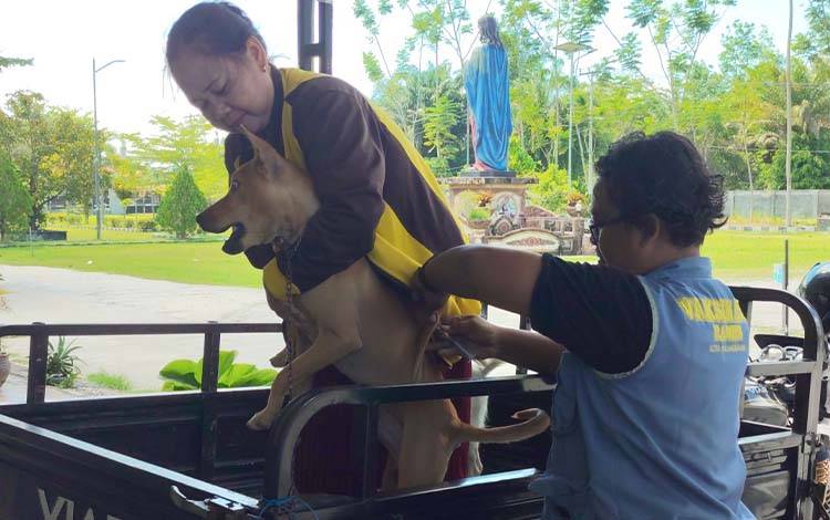 Vaksin Rabies Gratis di Paroki YGB Palangka Raya, Puluhan Hewan Peliharaan Terlayani