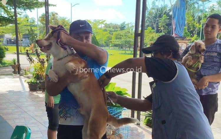 Paroki YGB Fasilitasi Vaksinasi Rabies Gratis, Dekatkan Layanan Kesehatan Hewan ke Warga Pinggiran Kota