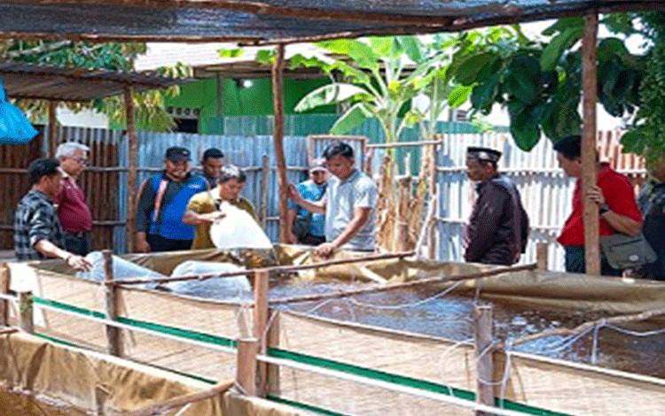 Dorong Kemandirian Ekonomi Masyarakat Melalui Budidaya Ikan