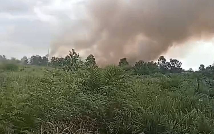 BPBD Kotim Imbau Masyarakat Waspada Kebakaran Lahan Menjelang Musim Kemarau