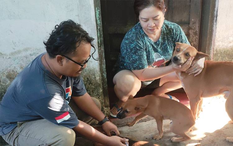 Puskeswan Kalampangan Perkuat Penanganan Rabies, Warga Diminta Segera Laporkan Kasus Gigitan Hewan