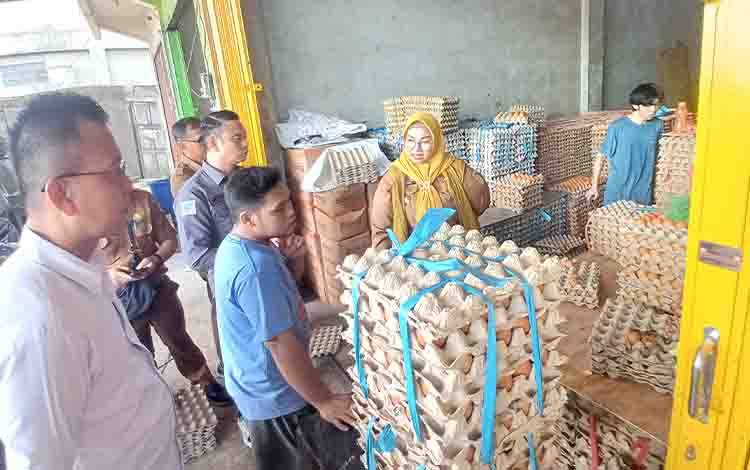 Wabup Kotim Tinjau Distributor dan Agen Telur Ayam Siapkan Langkah Lindungi Peternak Lokal