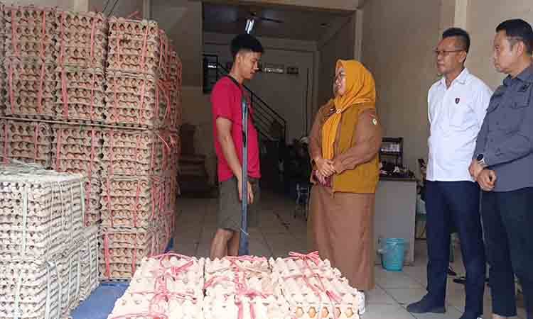Distributor SJS Sampit Sambut Harga Acuan Pembeli Telur
