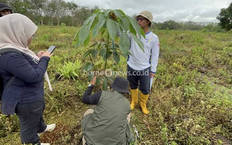 Tim BPDLH dan Norwegia bersama Dishut Kalsel mengevaluasi tanaman rehabilitasi hutan dan lahan program FOLU Net Sink 2030 di Kabupaten Hulu Sungai Tengah, Kalimantan Selatan, Jumat (19/6/2026). ANTARA/HO-Dishut Kalsel
