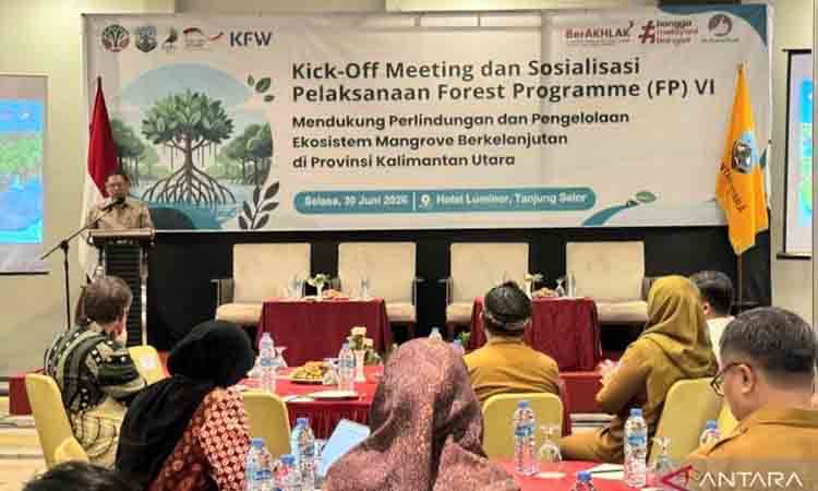 Pemerintah Jalin Kerja Sama Internasional Rehabilitasi Mangrove