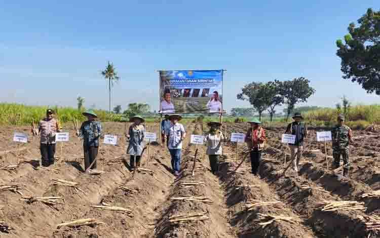 Kementan Dorong Percepatan Hilirisasi Komoditas Perkebunan