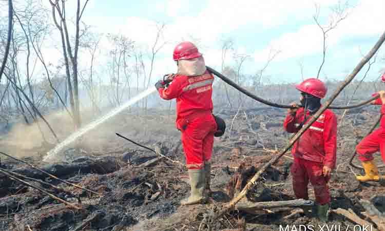 BNPB Tangani Karhutla Ribuan Hektare di 3 Provinsi Prioritas