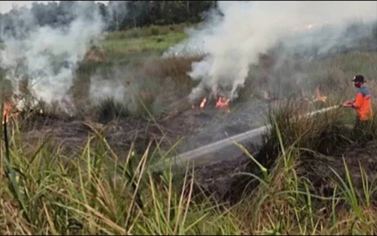 Potensi Karhutla di Kapuas Meningkat, BPBD Larang Masyarakat Membakar Lahan Saat ini