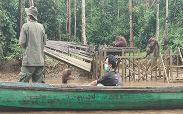 Alasan Masyarakat Menjaga Hutan Harus Dibangun