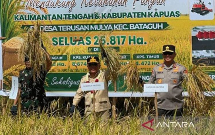 Gubernur Kalteng: Kapuas Jadi Pilar Swasembada Pangan Nasional
