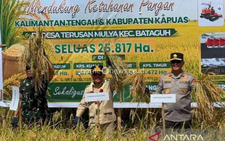 Gubernur Kalteng Sebut Kapuas Punya Peran Besar Dukung Swasembada Pangan