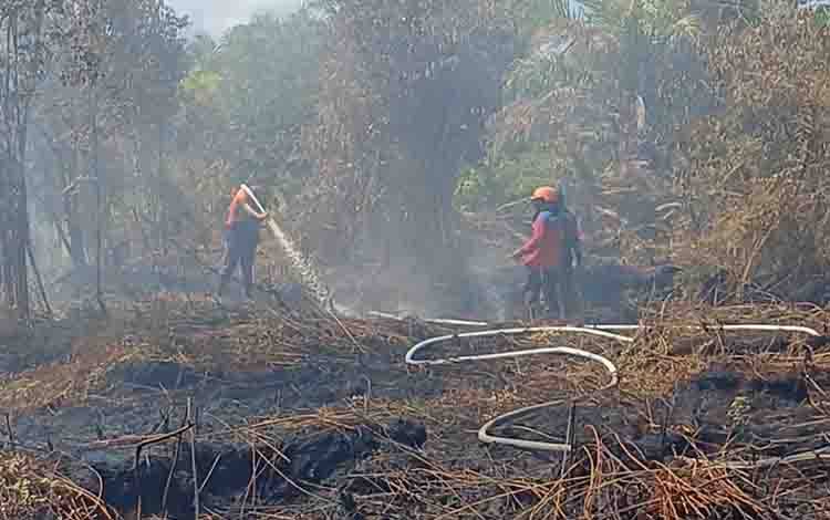 BPBD Catat 372 Hotspot dan 151,7 Hektare Lahan di Kotim Terbakar