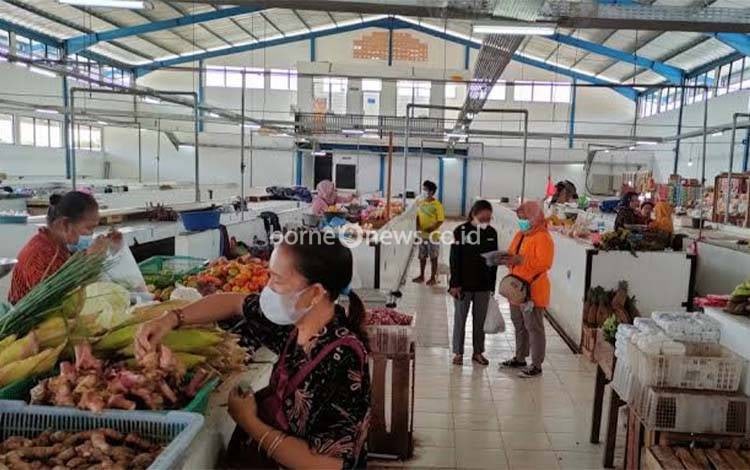 Kemarau Berkepanjangan Tekan Produksi Petani, Harga Sayuran Lokal di Nanga Bulik Merangkak Naik