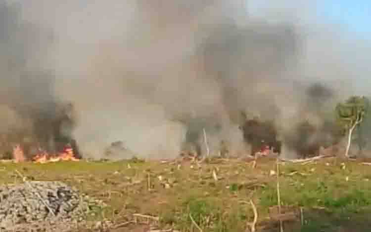 Kebakaran Lahan Besar di Sei Asem Kapuas Timur, Asap Terlihat hingga Kuala Kapuas