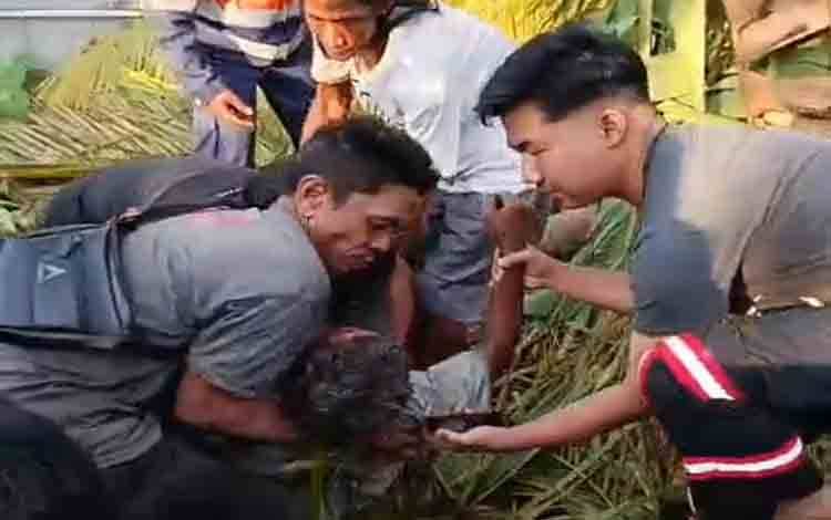 Penebang Pohon Luka Serius Tertimpa Batang Kelapa di Telaga Biru Banjarmasin