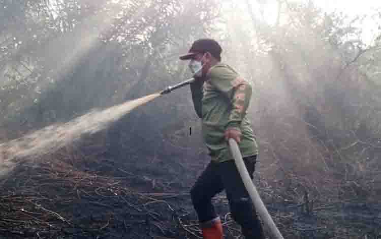 Sejak Status Siaga, 75 Kejadian Karhutla Terjadi di Palangka Raya, Luas Lahan Terbakar Capai 29,04 Hektar