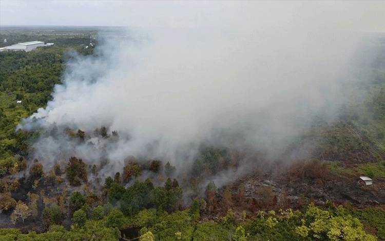 13 Titik Karhutla Terjadi di Palangka Raya, Luas Lahan Terbakar Capai 4,79 Hektar