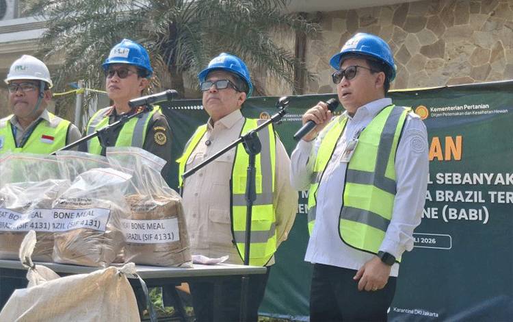 Kementan Pastikan Pasokan MBM Aman Usai Pemusnahan Impor Asal Brasil