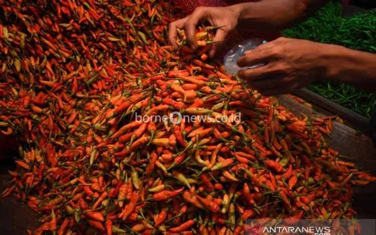 PIHPS Catat Harga Cabai Rawit Merah Rp63.150, Telur Ayam Rp31.950 per Kilogram