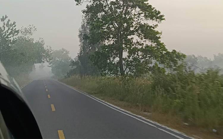 Asap Selimuti Palangka Raya, Warga Mulai Kenakan Masker dan Keluhkan Bau Bakaran