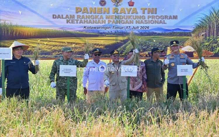 Kapuas dan Kotim Jadi Penyumbang Serapan Gabah Terbesar Bulog Kalteng