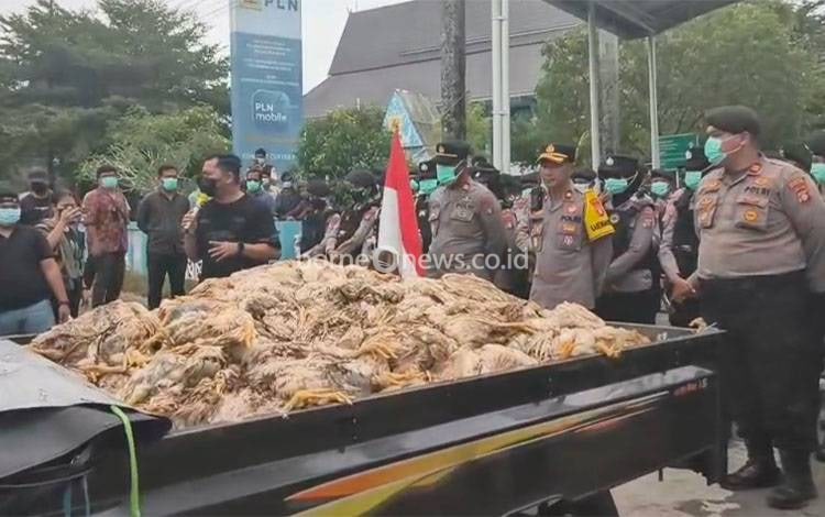 Demo Pemadaman Listrik, Peternak Bawa Bangkai Ayam ke Kantor PLN Palangka Raya