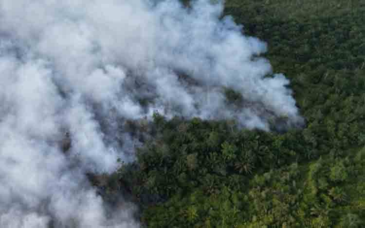 Kebakaran lahan di wilayah kuda marleh, Kabupaten Kotawaringin Timur. (FOTO: BPBD Kotim)