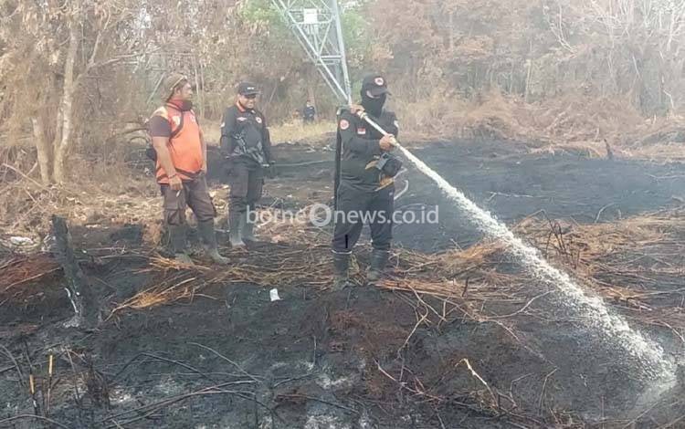 BPBD Catat 126 Kejadian Karhutla di Palangka Raya Sejak Awal Juni