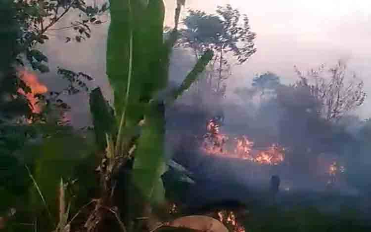 Kebakaran Lahan Besar Dekati Permukiman Warga di Liang Anggang