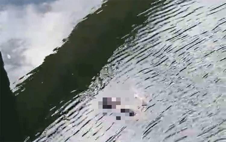 Sesosok Jasad Pria Ditemukan Mengapung di Bendungan Binuang Tapin