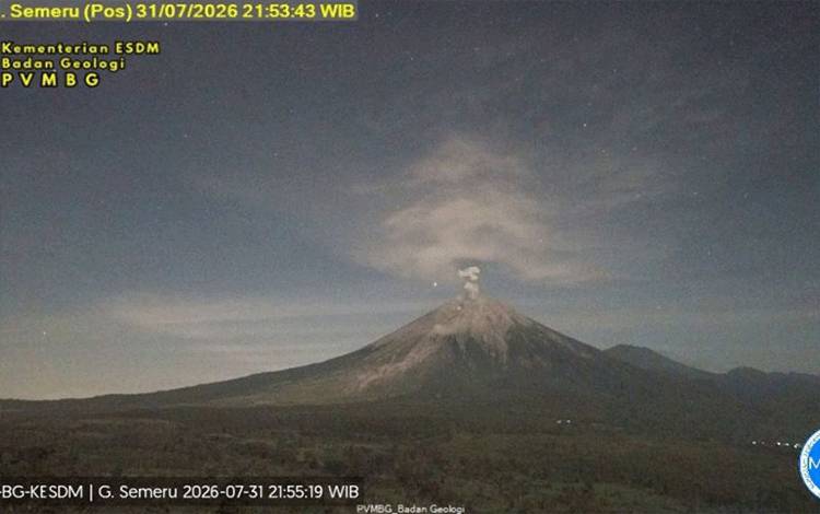 Gunung Semeru Erupsi dengan Tinggi Letusan 800 Meter di Atas Puncak
