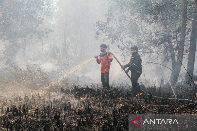 Karhutla Palangka Raya Capai 306 Kejadian, Petugas Hadapi Lahan Kering dan Minim Sumber Air
