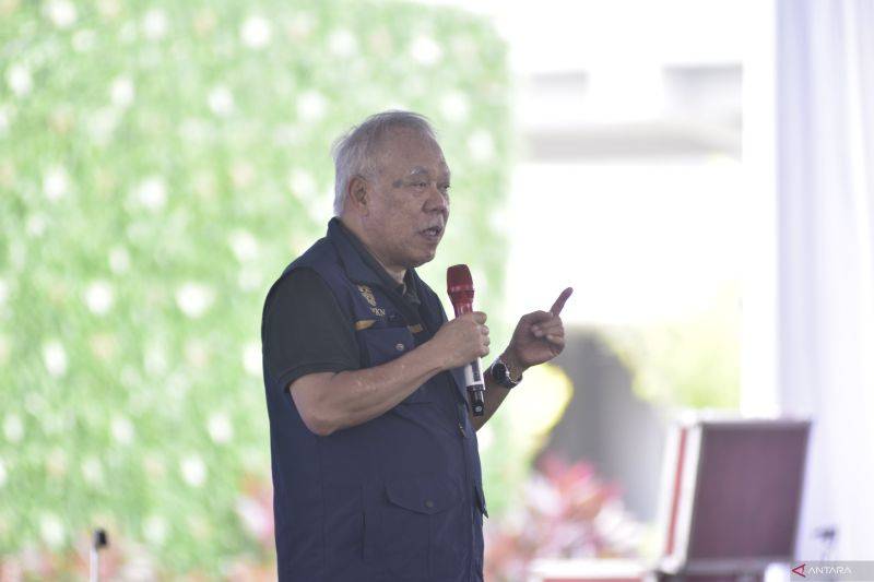 IKN Jadi Lokasi Percontohan Rehabilitasi Mangrove Program M4CR