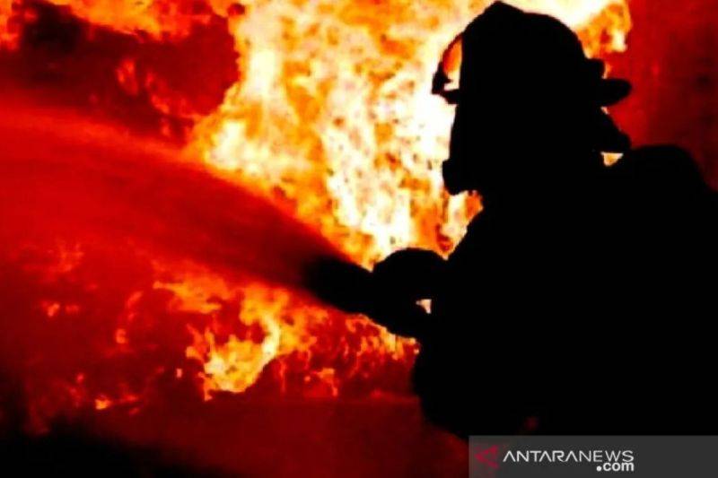 Petugas Damkar Meninggal saat Tangani Kebakaran Lahan