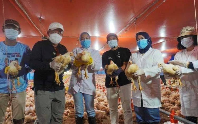 Kepala Dinas Tanaman Pangan, Hortikultura, dan Peternakan Provinsi Kalimantan Tengah Rendy Lesmana bersama rombongan TP PKK Provinsi Kalimantan Tengah meninjau peternakan ayam pedaging (broiler) sistem close house di UPT BPMPPTHMT Km 38 Palangka Raya. (FOTO: DINAS TPHP KALTENG)