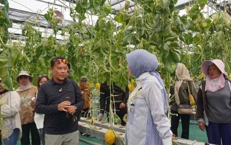 Panen Melon Smart Greenhouse Perkuat Penerapan Pertanian Modern di Kalteng
