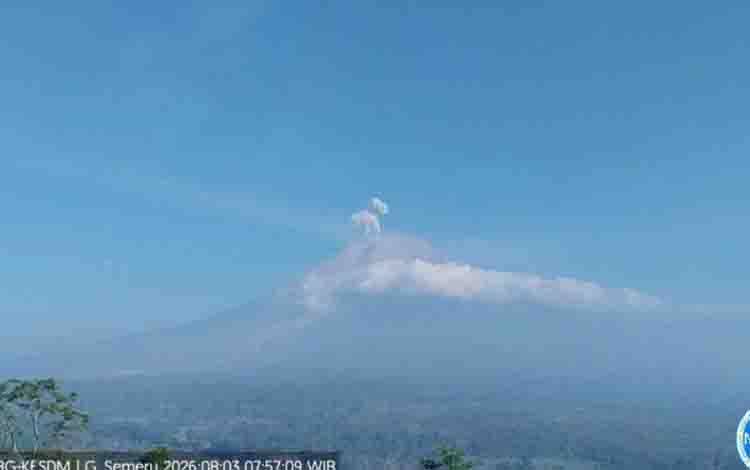 Semeru Lima Kali Erupsi dengan Tinggi Letusan hingga 700 Meter