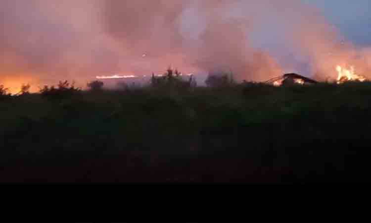 Karhutla Hanguskan Sekitar 28 Hektare Lahan di Dadahup A5 Kapuas